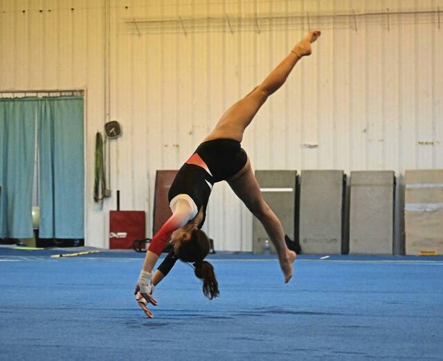 With 4 seniors leading way, Fox Chapel gymnasts show camaraderie, drive to improve