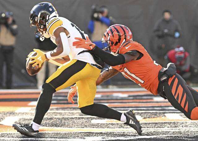 8002518_web1_ptr-SteelersBengals35-120224