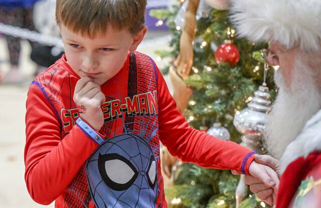 8005718_web1_vnd-lo-plumchristmas1-120624
