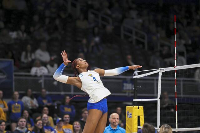 8006486_web1_ptr-Pittvolley2-120724