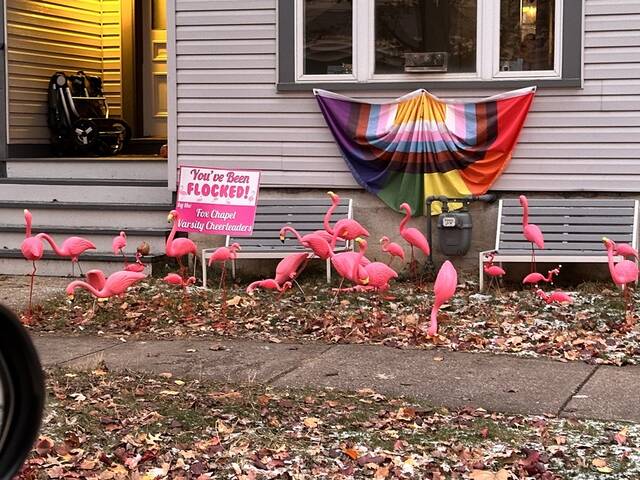 8012464_web1_her-lo-weareflocked-121924