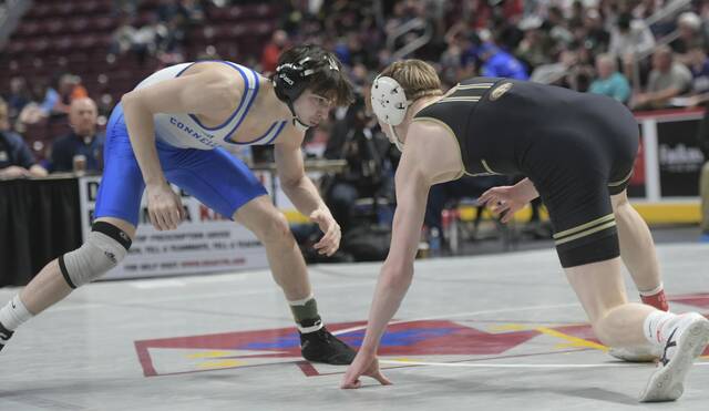WPIAL wrestling rankings: Dec. 10, 2024