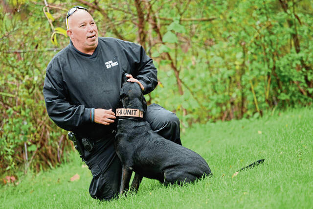 8019995_web1_gtr-lat-derrydog2-103013