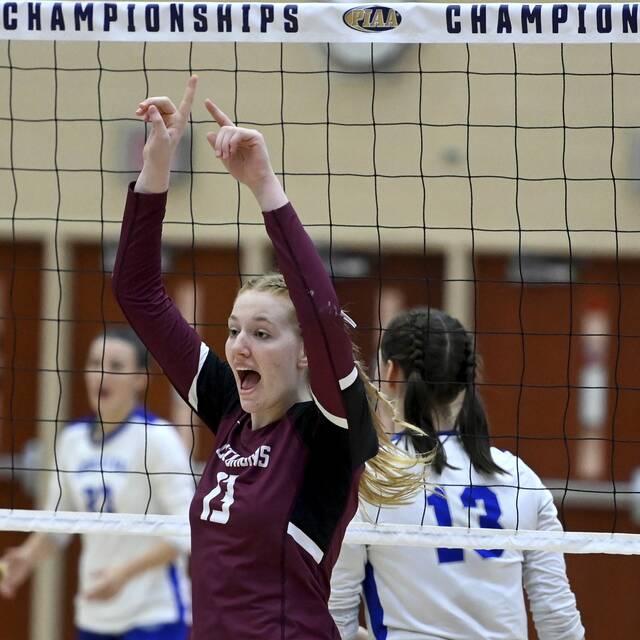Westmoreland County high school notebook: Greensburg Central Catholic volleyball stars named all-state