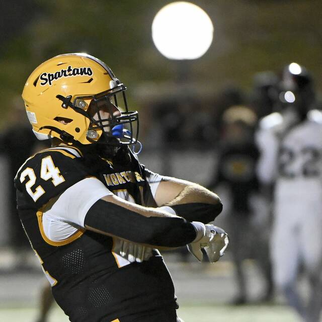 2024 WPIAL All-Conference Football: Parkway