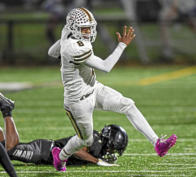 2024 WPIAL All-Conference Football: Allegheny 7