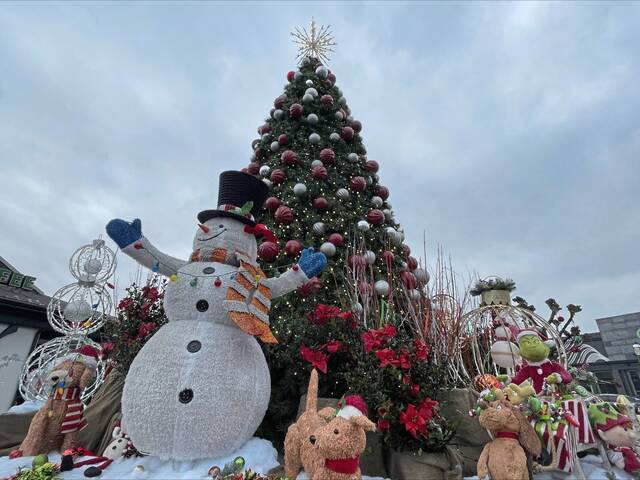 8037791_web1_PTR-Christmas-display-at-The-Waterfront-2024-002