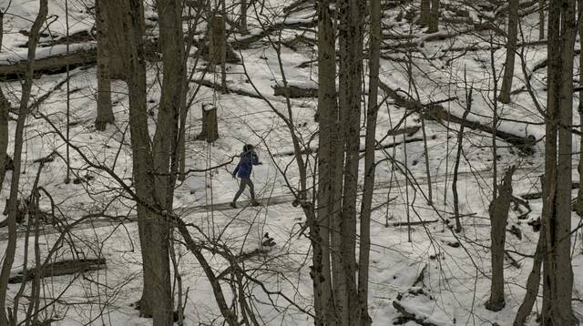 8039085_web1_GTR-LO-SnowPath-031522