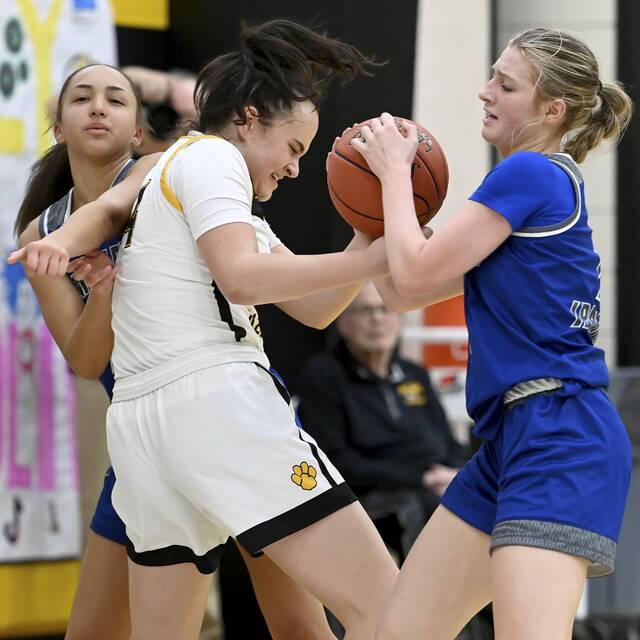 What to watch for in WPIAL sports on Dec. 19, 2024: Last batch of girls basketball section openers to tip off