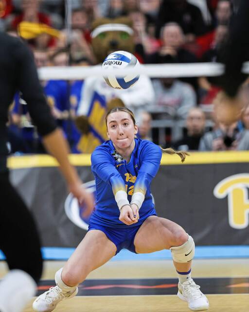 8044621_web1_gtr-PittVB4-122024