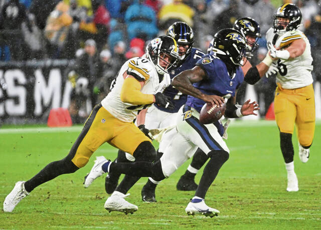 8045030_web1_ptr-SteeleRsavens31-010624