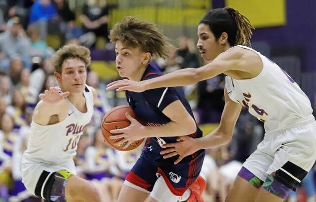 8045782_web1_vnd-shalerplum1-122124