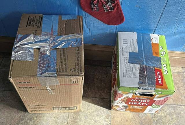 8063734_web1_gtr-DogsInBox2-122824