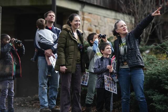 8065908_web1_vnd-birdcount1-122824