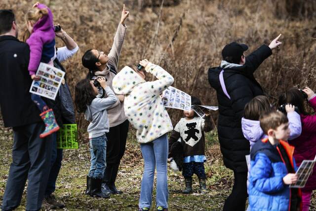 8065908_web1_vnd-birdcount11-122824
