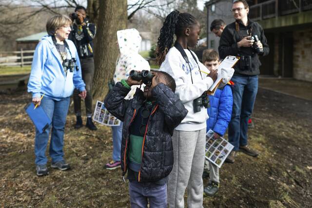 8065908_web1_vnd-birdcount5-122824