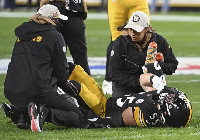 8073054_web1_ptr-Steelers08-110423