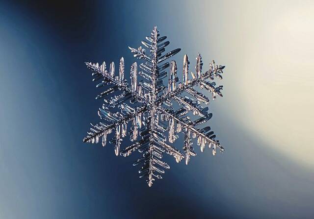 8070234_web1_Snowflake