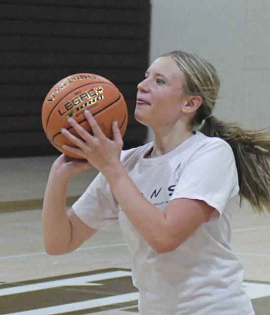 Westmoreland County girls basketball teams face challenge of step up in class