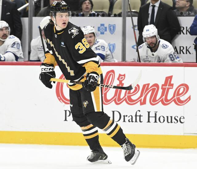 8091337_web1_ptr-penguins08-112024