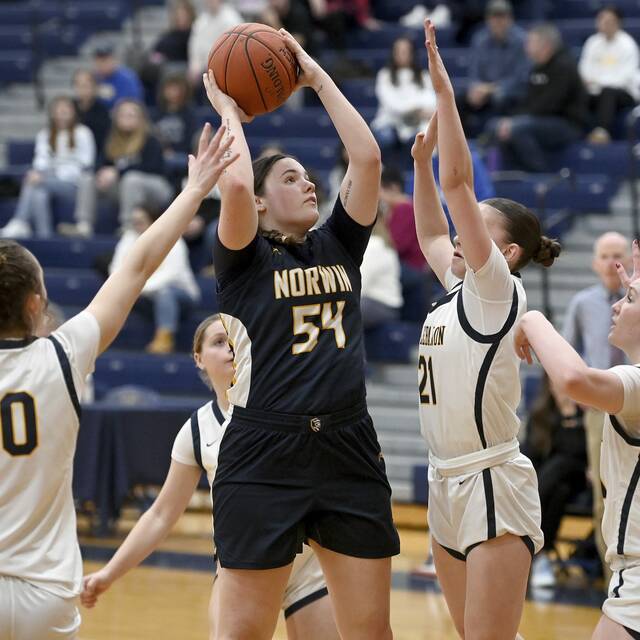 High school roundup for Jan. 8, 2025: Norwin beats Mt. Lebanon to snap skid