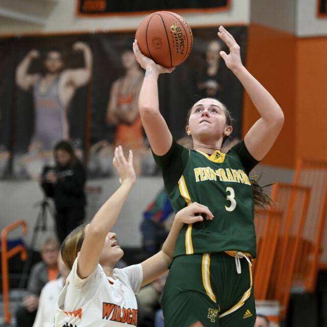 WPIAL girls basketball rankings: Week ending Jan. 12, 2025