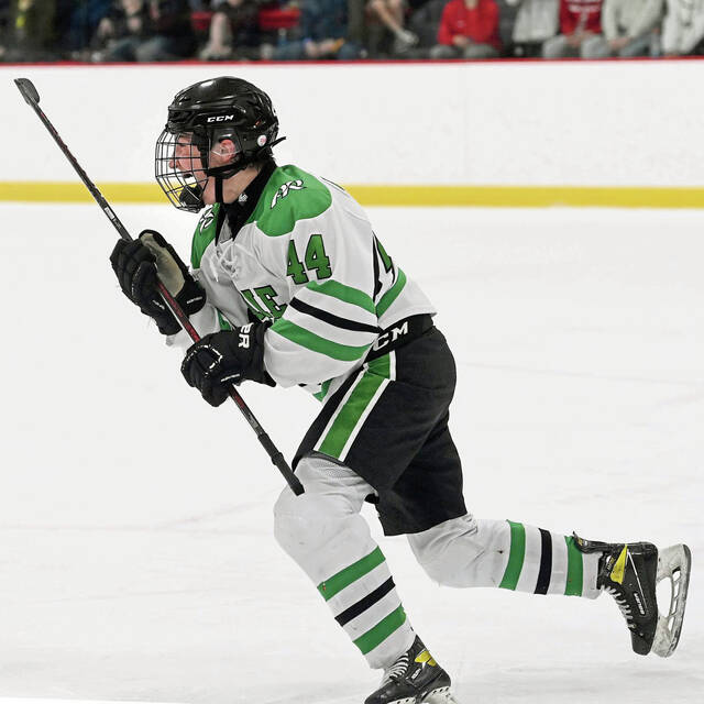 With plenty of hockey left, Pine-Richland aiming for playoff spot