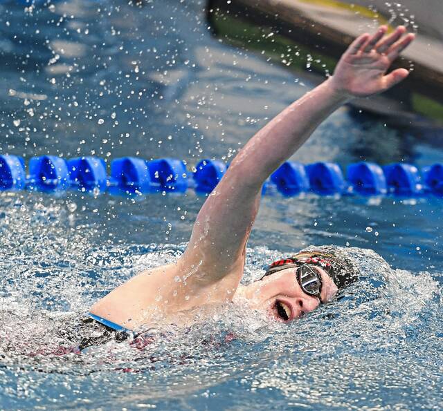 Fox Chapel notebook: Swimmers setting pool records