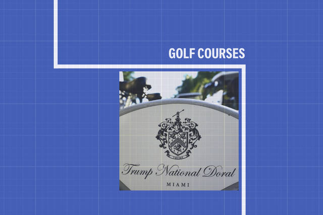 Slide 5