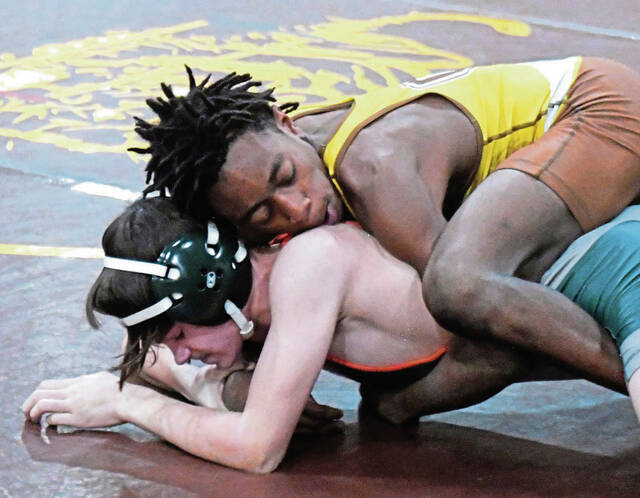 High school wrestling notebook: WPIAL section titles on line
