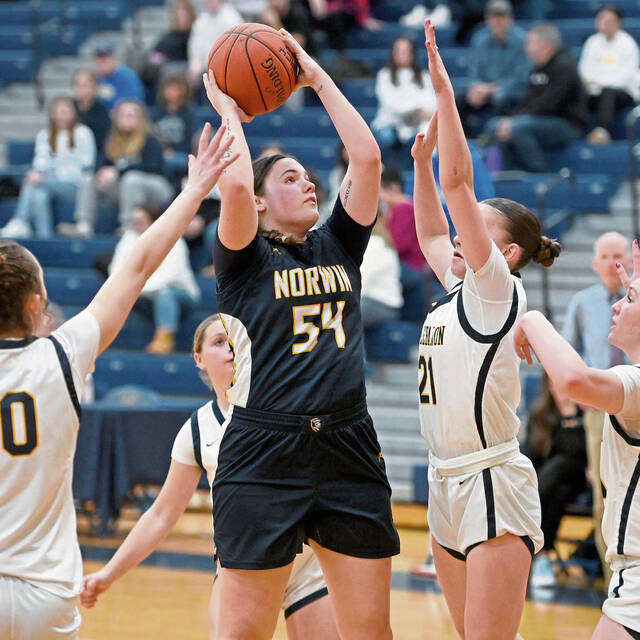 Norwin girls pop right back up after rare losing streak