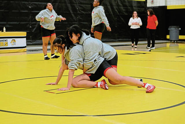 Herald notebook: Fox Chapel girls wrestling tops Kiski Area