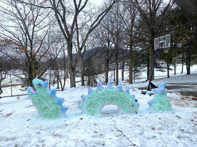 8154964_web1_wep-igloo5-020225