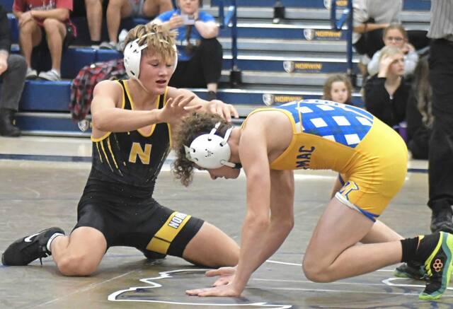 Rematch between Norwin, Canon-McMillan headlines 1st round of WPIAL team tournament