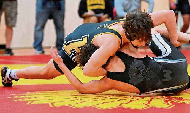 Springdale’s Alex Wylly eyes postseason success as part of Riverview wrestling co-op