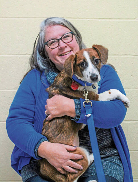 8169236_web1_HER-SharpAnimals-020625