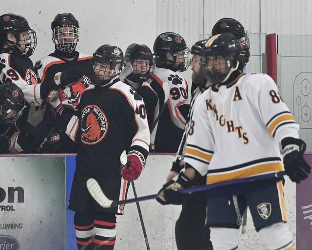 PIHL standings, playoff clinchings through Feb. 2, 2025