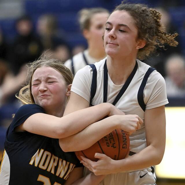 WPIAL clinched: Girls basketball playoff qualifiers through Feb. 3, 2025