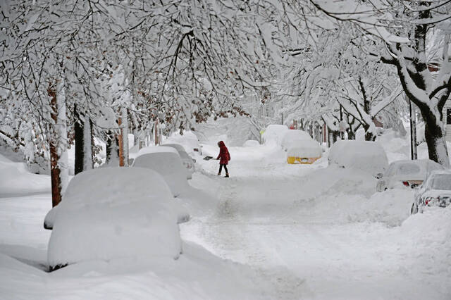 8183832_web1_ptr-Snowmageddon-038