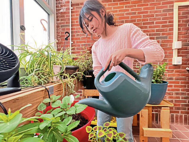 8188373_web1_sew-greenhouse-111424-7
