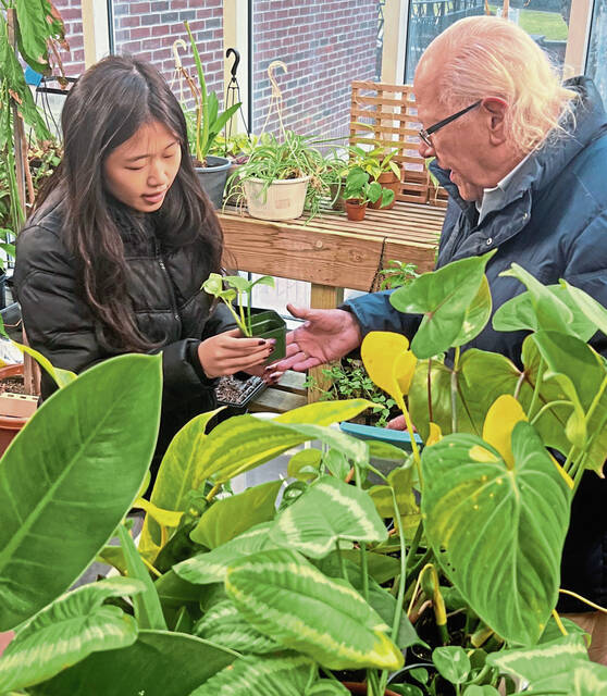 8188373_web1_sew-lo-greenhouse-021325-2