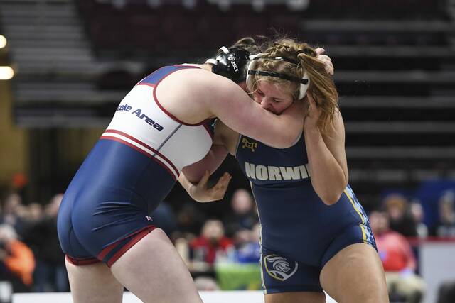 Norwin trio getting serious ahead of WPIAL girls wrestling championships