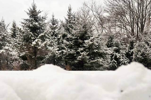 8214422_web1_vnd-snow-021725