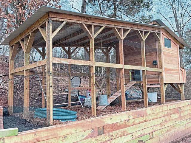 8220069_web1_her-chickens-022725