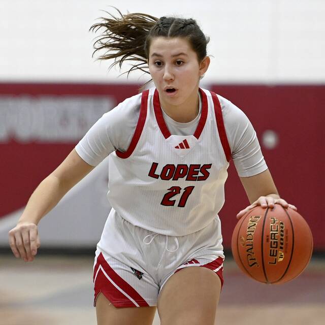 Trib HSSN girls basketball player of the week for Feb. 17, 2025<span class="headline-video">Video <i class="fa-solid fa-circle-play"></i></span>
