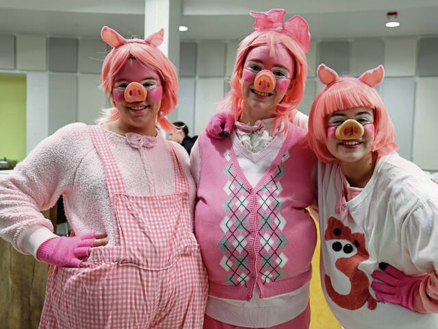 8222635_web1_05-PigsPortrait