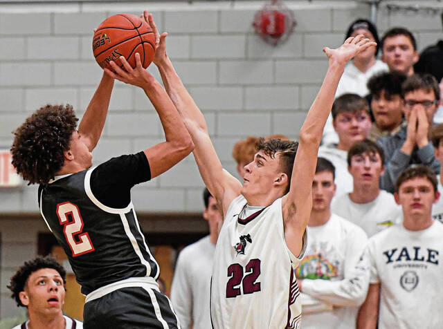 Westmoreland County basketball playoff preview capsules for Thursday, Feb. 19, 2025