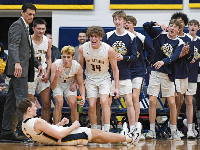 Liam Sheely overcomes shoulder injury with coach’s help as Mt. Lebanon makes late-season surge