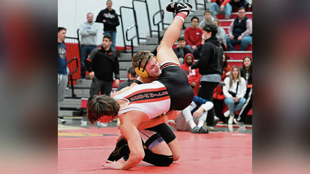 Thomas Jefferson wrestlers find success at sectional tournament