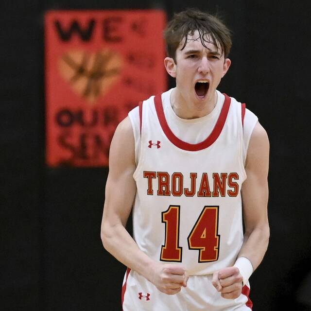 North Catholic boys beat Deer Lakes for 3rd time this season